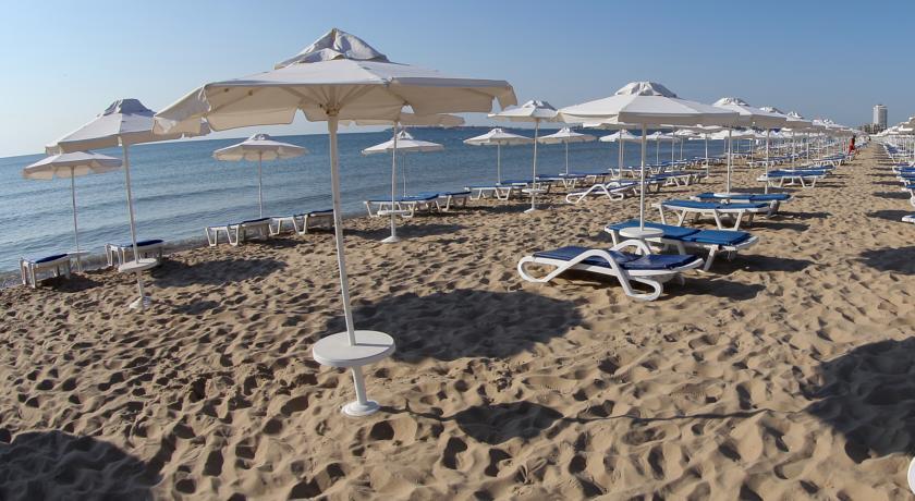 Sunny Day Club